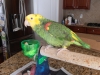 Benny