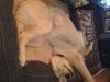 chillin