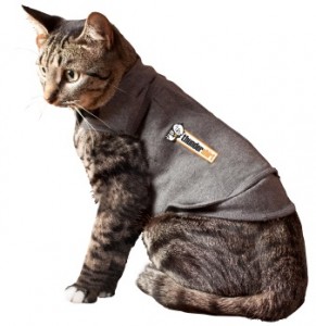 thundershirt-for-cats-main-image