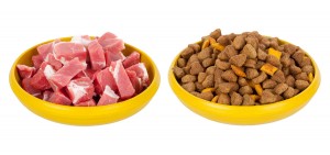 Natural meat dog food or dry food