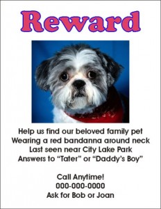 lost-dog-flyer