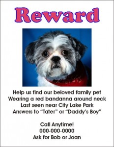 lost-dog-flyer