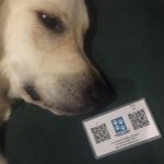 QR-Fenway