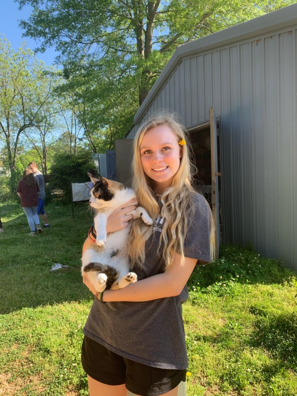 Wake Forest Pet Sitters Pet Sitting and Dog Walking in Cary, Durham