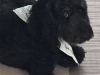 Maggie
